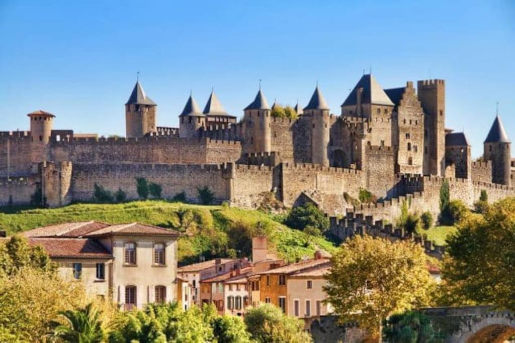 Dame Carcas Apartment Carcassonne Exterior photo